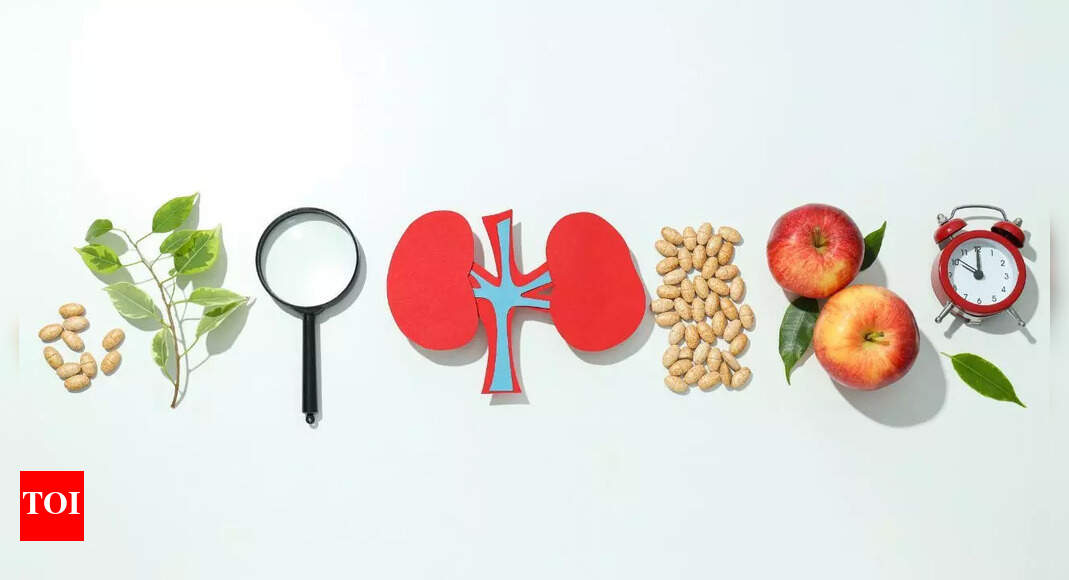 Kidney transplant recovery diet: Best foods, meal tips, and lifestyle changes