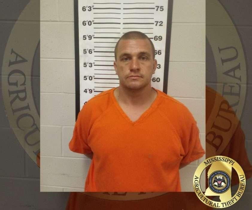 Investigators arrest Jones County man after five head of cattle stolen in Covington County