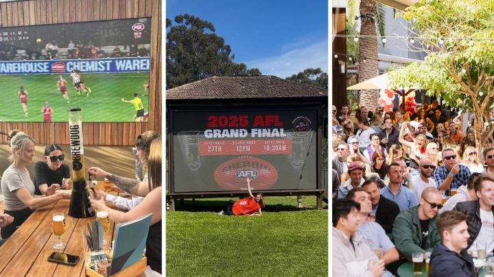 AFL Grand Final 2025: Where to watch Geelong Cats and Brisbane Lions game in WA
