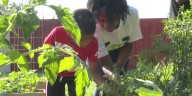 Killeen teen mentorship program opens to help curb violence