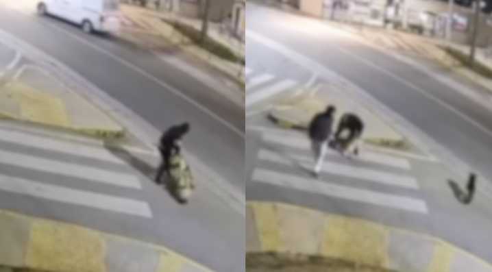 Video conmocionó a Villa Alemana: Perrito comunitario recibió brutal golpiza por desconocido