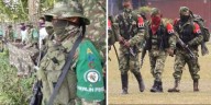 Más de 80 personas desplazadas por combates entre Clan del Golfo y Eln en Tarazá, Antioquia