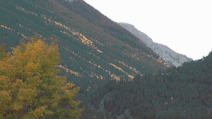 Thousands left without power in Georgetown during peak foliage season