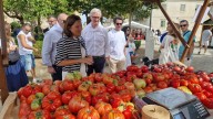"El Pueblo" llena Castropol de música y actividades