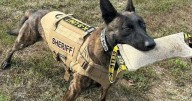 Warrick County Sheriff's Office K9 passes away