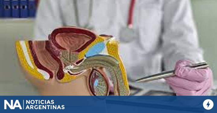 Cada vez más pacientes buscan revertir la vasectomía en Argentina