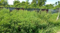 What To Know About Reusing Old Towels As An Inexpensive Weed Barrier