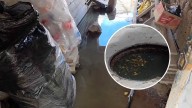 Moho: Colapsa buzón desagüe inunda viviendas barrio San Martín