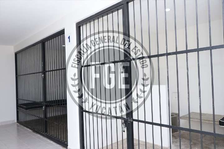 A prisión una pareja que vendía droga en Flamboyanes, Progreso