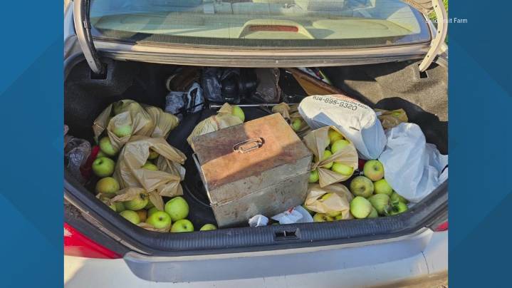 Lynd Fruit Farm announces new protocol as reports of more apple thefts
