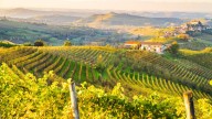 The crowd-free alternative to Tuscany that’s perfect for wine tasting