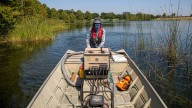 Scientists are electrifying lakes to capture invasive species they believe are transported by hurricanes