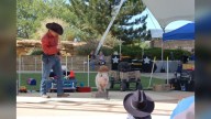 Heritage Lakewood Belmark Park set to host 'Cider Days' festival