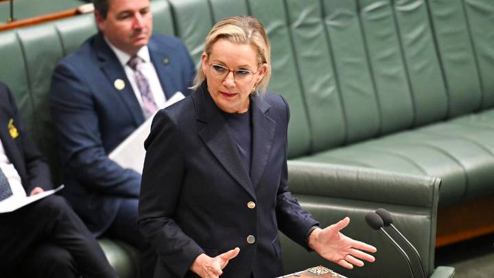 Joe Spagnolo: Federal Liberal Leader Sussan Ley’s fate lies in WA Liberal hands