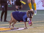 Recorder Rewind: Indy Eleven defeats FC Tulsa 2