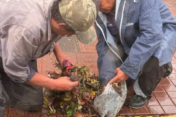TRAS LA LLUVIA! Cuadrillas municipales limpiaron canales y sumideros (IMÁGENES)