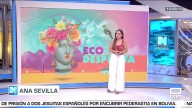 El problema de la proliferación de las cucarachas
