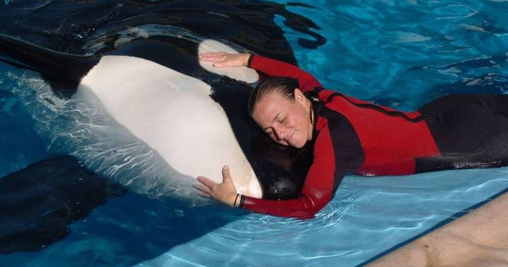 My sister was killed by SeaWorld orca - it haunts me every day