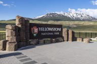 Hiker suffers 'significant' injuries after bear encounter in Yellowstone