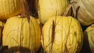 What It Means To Put A Yellow Pumpkin On Your Porch