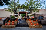 Morgan’s Pier launches Fall Fest with pumpkin patch, seasonal menu and Halloween bash