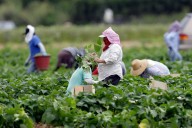 La aprobación de Trump entre votantes latinos se derrumba a causa de la economía, según encuesta