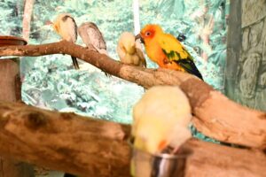 Mundo Exótico: un rincón donde la naturaleza se convierte en experiencia