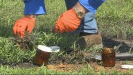 Expert: Heavy metals from Smittys fire spread miles into community