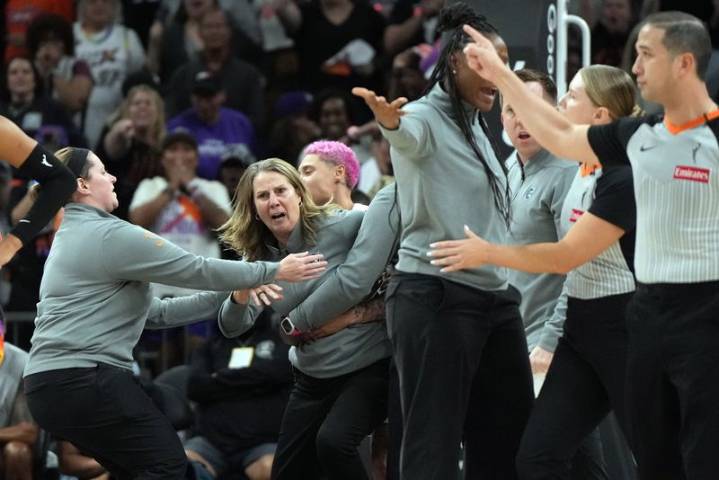Lynx coach Cheryl Reeve suspended one game for tirade at officials