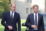 As Prince Harry and King Charles Meet, Talk Turns to William
