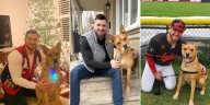 Connor Panas, el beisbolista que alimenta a los perros callejeros en el malecón de Campeche