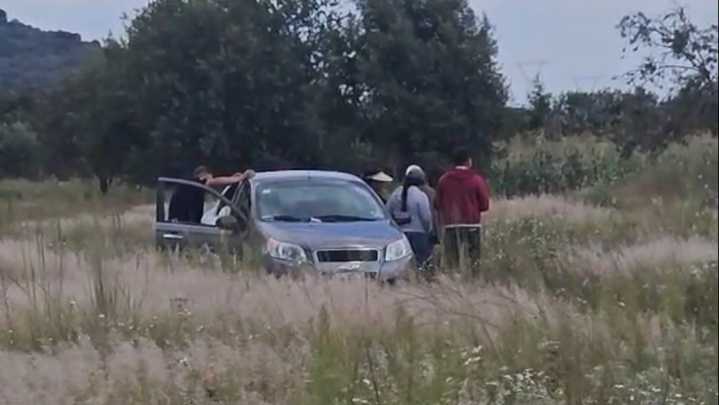 Encuentran a Mujer Sin Vida Hincada y Rodeada de Abejas en Puebla: Estuvo Desaparecida Dos Días