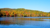 How environmental RNA can give us a real-time picture of freshwater biodiversity