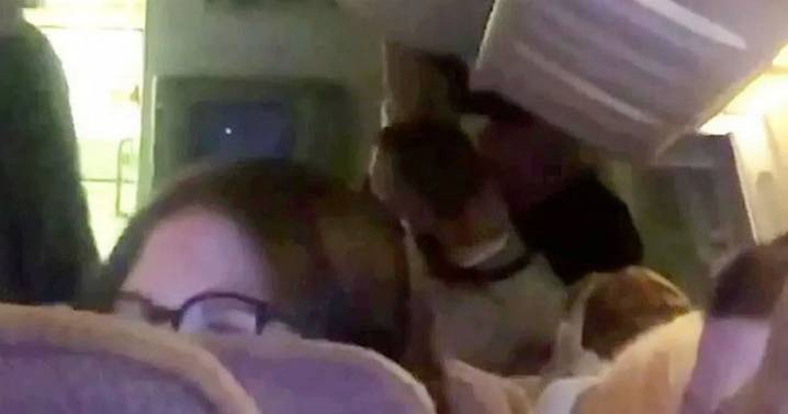 'Unruly' man restrained by cabin crew and fellow passengers on Emirates flight