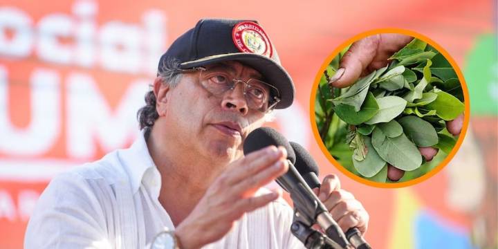 Petro exige volver a la fumigación aérea de cultivos ilícitos, “dada la táctica mafiosa” de los civiles y la fuerza pública