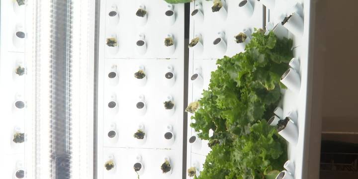 Flex farms provide Southwest Wisconsin schools with new agricultural opportunities