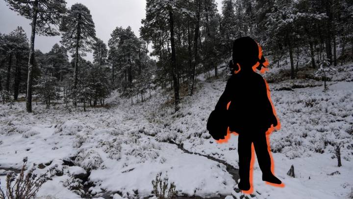 CLIMA La Niña traerá invierno 2025 más frío, con hielo ártico y nevadas a México
