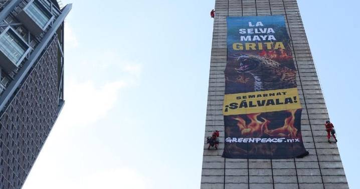 Semarnat y Greenpeace acuerdan instalar mesas de trabajo para proteger Selva Maya
