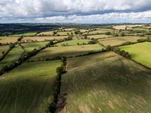 Beyoncé and Jay-Z buying 58 acres of UK land to build mansion