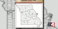 Reaction pours in as Missouri House Committee passes redistricting map