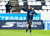 ¡Sorprenden los Gallos!