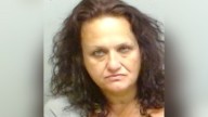Woman arrested, man at large after stolen Clayton County van chase