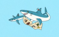 Meanwhile, in Texas: Tagging Along With Gulf Sharks
