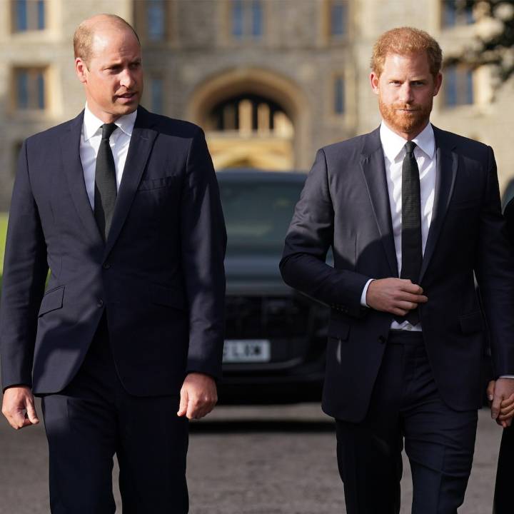 Prince Harry, Prince William, King Charles Relationship Amid Feud