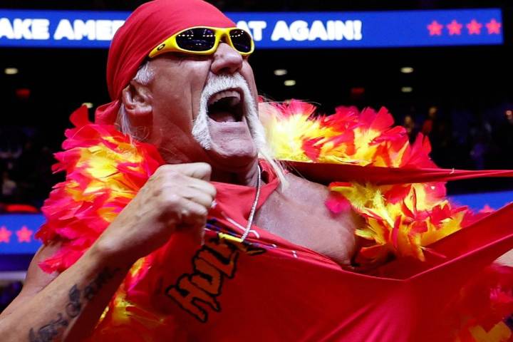 Hulk Hogan's Will, Estate Details Revealed