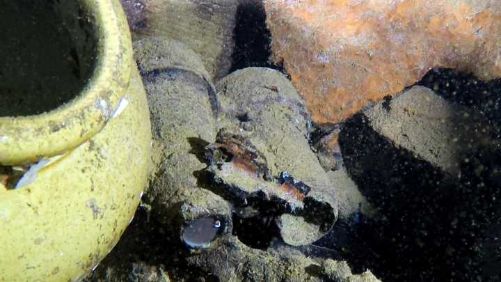 Lost treasures from Titanic's forgotten sister shipwreck FOUND over a century after it sank due to mine explosion