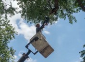 Mantenimiento preventivo fortalece operatividad de circuitos carabobeños
