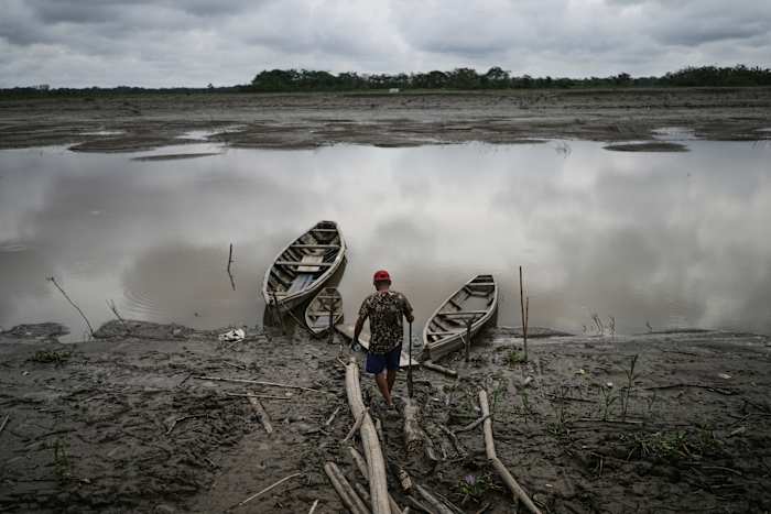 Well-preserved Amazon rainforest on Indigenous lands can protect people from diseases, study finds