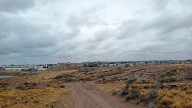 Fauna marina por doquier: te contamos qué hacer en Puerto Deseado