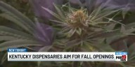Kentucky dispensaries aim for fall openings